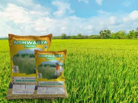 webbitech mastero private limited